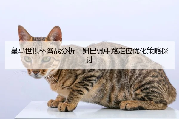 皇马世俱杯备战分析：姆巴佩中路定位优化策略探讨
