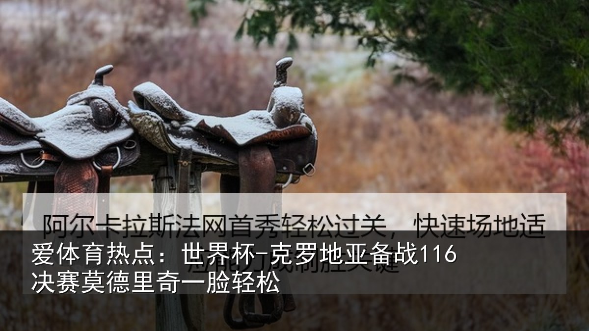 爱体育热点:世界杯-克罗地亚备战116决赛莫德里奇一脸轻松