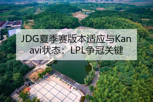 JDG夏季赛版本适应与Kanavi状态：LPL争冠关键