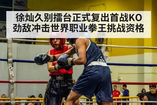 徐灿久别擂台正式复出首战KO劲敌冲击世界职业拳王挑战资格