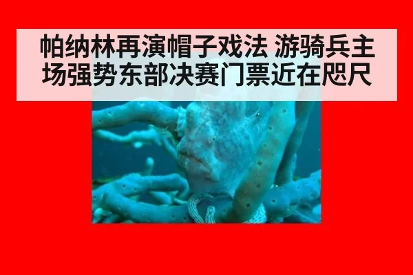 帕纳林再演帽子戏法 游骑兵主场强势东部决赛门票近在咫尺